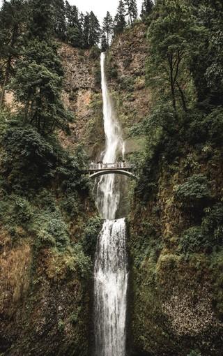 轻松问答,尽在